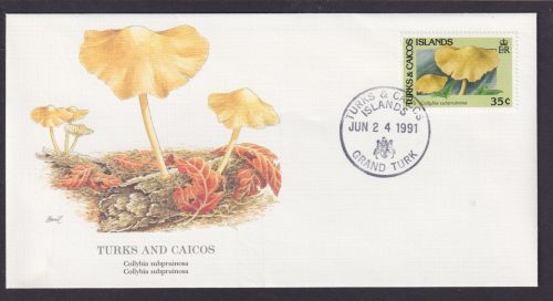 Turks and Caicos Britisch Übersee Flora Pflanzen Pilze schöner Künstler Brief