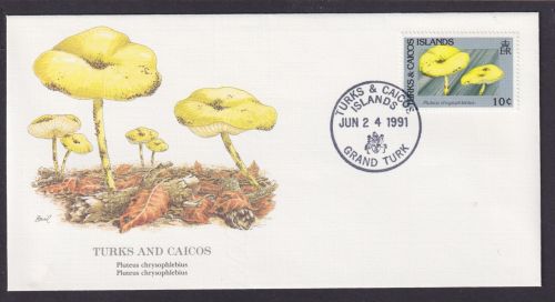 Turks and Caicos Britisch Übersee Flora Pflanzen Pilze schöner Künstler Brief