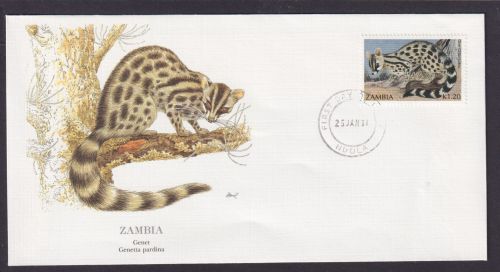 Sambia Afrika Fauns Genette Mungo schöner Künstler Brief