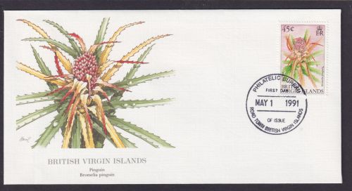 British Virgin Islands Flora Pflanze Sumpf Immortelle schöner Künstler Brief