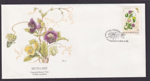 Ungarn Flora Blumen Cobaea schöner Künstler Brief