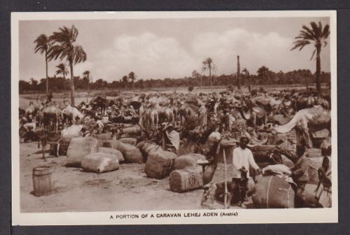 Ansichtskarte A Portion of a Caravan Lehej Aden Arabia Jemen