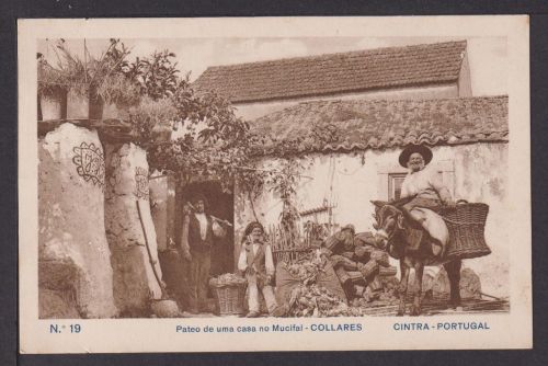 Ansichtskarte Pateo de uma casa no Municifal Collares Cintra Portugal