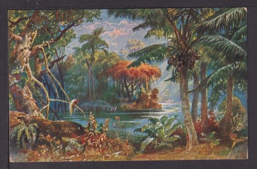 Ansichtskarte Landschaft in Kamerun Kolonialkriegerdank Deutsche Kolonien