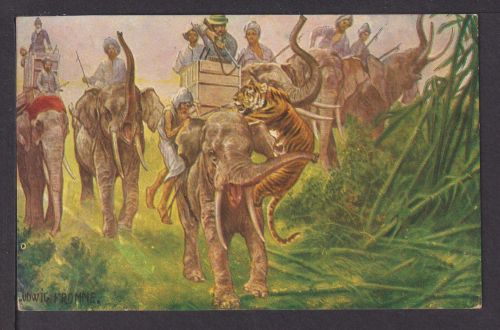 Asien Ansichtskarte Indien Jagd Tigerjagd vom Elefanten Tiger Raubtiere