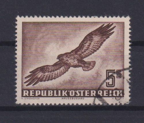 Flugpost Österreich 986 Vögel Greifvögel Mäusebussard gestempelt 1953 KatW 120,-