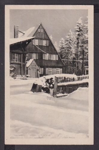Ansichtskarte Altenberg Erzbebirge Sachsen Waldschänke Altes Raupennest