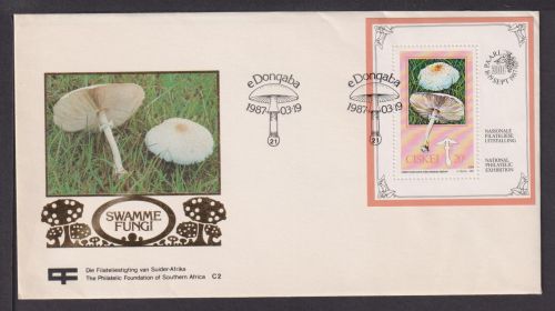 Briefmarken Südafrika Übersee Brief Block 1987 Pilze