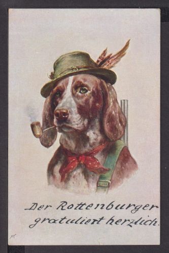 Ansichtskarte Glückwunsch Geburtstag Hund Jagd Jagdhund Gewehr Pfeife Hut