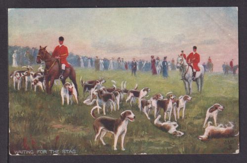 Ansichtskarte Jagd Fuchjagd Wartende Hundemeute Tiere Hunde Jagdhunde