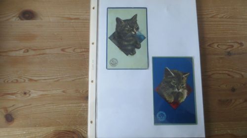 Nachlass Katzen Ansichtskarten gute Reklame Sammlung Hoffmann Stärke 24 St selten