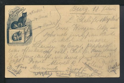 Schweiz Reklame Privatganzsache Hoffmann Stärke mit der Katze Schaffhausen nach