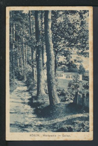 Ansichtskarte Köslin Koszalin Ostgebiete Polen Pommern Waldpartie am Gollen