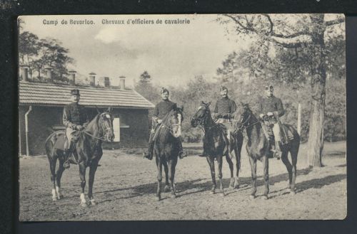 Militaria Ansichtskarte Beverloo Belgien Offiziere Kavalerie Pferde Soldaten Krieg