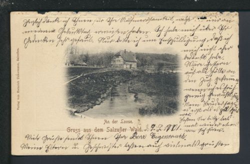 Ansichtskarte Bad Salzuflen NRW An der Loose Bahnpost Zug 581 Hagen Haspe 1901