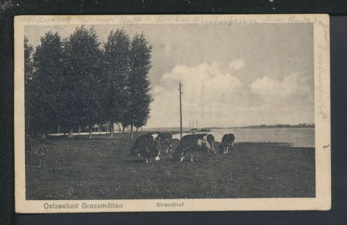 Ansichtskarte Grossmöllen Mielno Strandhof Ostgebiete Polen Pommern Rudolstadt