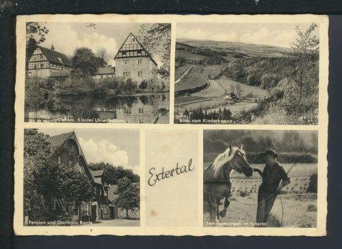 Ansichtskarte Extertal Lippe NRW Pension Zum grünen Tal Krnov Tschechien Pferde