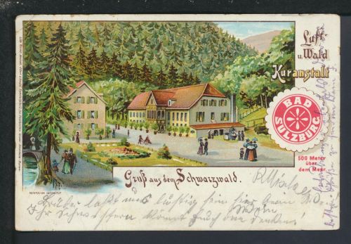 Schöne Litho Ansichtskarte Bad Sulzburg Baden-Württemberg Luft und Wald Kuranstalt