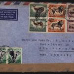 Südafrika Brief MIF+ Aufkleber Motiv Post Postgeschichte Capetown nach Steinheim