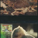 WWF Tonga 233-236 Niuafo'ou Großfußhuhn Tiere Vögel kpl. Kapitel bestehend