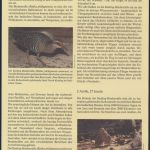 WWF Cocos Island 267-270 Tiere Vögel Keeling-Bindenralle kpl. Kapitel bestehend