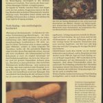 WWF Cocos Island 267-270 Tiere Vögel Keeling-Bindenralle kpl. Kapitel bestehend