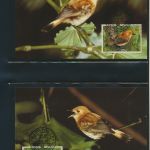WWF Cook Island 1278-1281 Vögel Rarotonga-Fliegenschnäpper kpl. Kapitel besteh