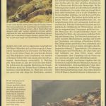 WWF Tristan da Cunha 513-516 Vögel Teichhuhn und Ammer kpl. Kapitel bestehend