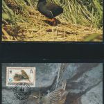 WWF Tristan da Cunha 513-516 Vögel Teichhuhn und Ammer kpl. Kapitel bestehend