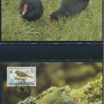 WWF Tristan da Cunha 513-516 Vögel Teichhuhn und Ammer kpl. Kapitel bestehend