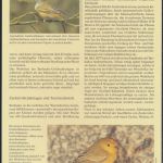 WWF Barbados 770-773 Tiere Vögel Goldwaldsänger kpl. Kapitel bestehend