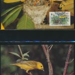 WWF Barbados 770-773 Tiere Vögel Goldwaldsänger kpl. Kapitel bestehend