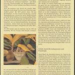 WWF Barbados 770-773 Tiere Vögel Goldwaldsänger kpl. Kapitel bestehend