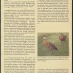WWF Bahamas 672-675 Tiere Vögel Pfeifgans kpl. Kapitel bestehend