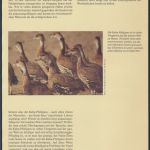 WWF Bahamas 672-675 Tiere Vögel Pfeifgans kpl. Kapitel bestehend