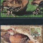 WWF Bahamas 672-675 Tiere Vögel Pfeifgans kpl. Kapitel bestehend