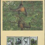 WWF Honduras 1084-1087 Der Geoffrey-Klammeraffe kpl. Kapitel bestehend