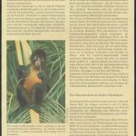 WWF Honduras 1084-1087 Der Geoffrey-Klammeraffe kpl. Kapitel bestehend