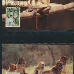 WWF Honduras 1084-1087 Der Geoffrey-Klammeraffe kpl. Kapitel bestehend