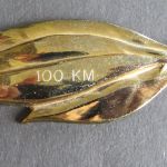 Brosche EVG goldfarben 11 x 3,2 cm 100 KM Sportauszeichnung