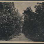 SBZ Ansichtskarte EF 216 Berlin Rummelsburg Waldweg am Stienitzsee 5.9.1949