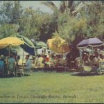 Bermuda Ansichtskarte 108 Hamilton na. Proctor Luncheon on Terrace Cambridge