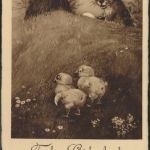 D. Reich Landpoststempel Poppenbrügge über Kiel nach Weingarten 29.3.1934 auf