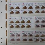 Südafrika 1100-4 Vögel Tiere Spezial Lot mit Blöcken der verschied. Druck Papier