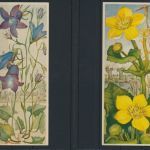 Sammelbilder Sparkasse Ulm Söflingen 8 Stück sehr schön mit Blumenmotiv Pflanzen