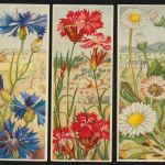 Sammelbilder Sparkasse Ulm Söflingen 8 Stück sehr schön mit Blumenmotiv Pflanzen