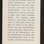 Sammelbilder Sparkasse Ulm Söflingen 8 Stück sehr schön mit Blumenmotiv Pflanzen