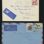 Afrika Südafrika 3 Briefe mit EF oder MIF Tiere Africa 3 covers with animals