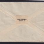 Deutsches Reich Brief 12 Pfg. Hindenburg Oberrand Paar Märisch Schonberg nach