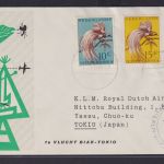 Asia Flugpost airmail Niederlande Neu Guinea Brief ab Biak Indonesia n Tokio